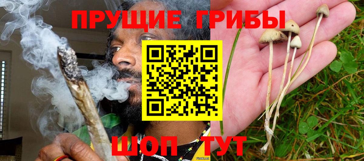 закладки  Галлюциногенные грибы Cubensis  Вход с VPN  Тольятти 