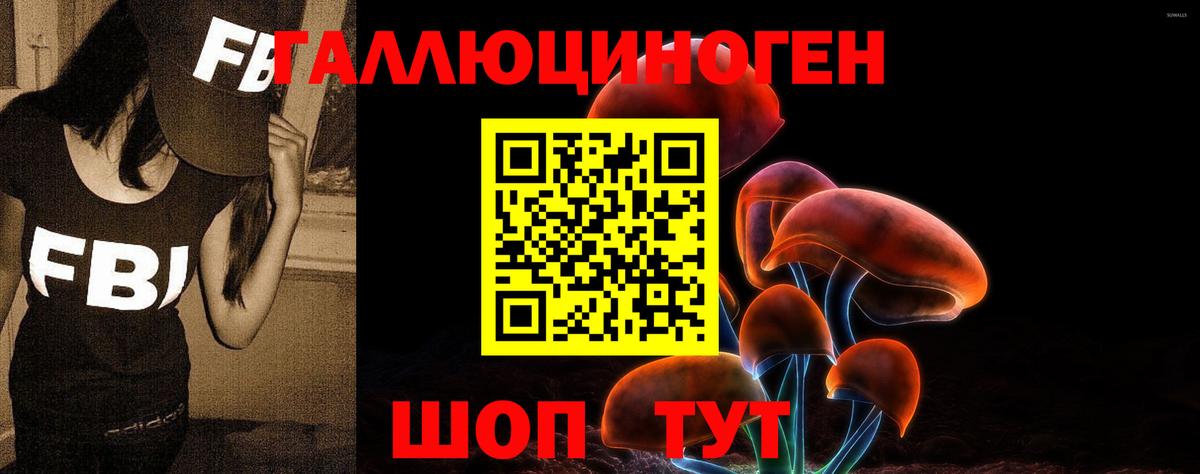 Псилоцибиновые грибы Cubensis Тольятти